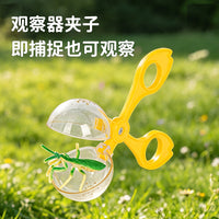 Kids Science Experiment Telescope and Insect Observation Box Toy Set for Outdoor Adventure Camping Picnic Pretend Play