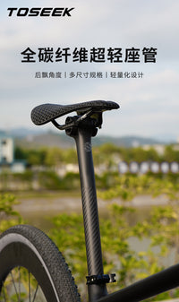 Carbon Fiber Bicycle Seatpost Super Light Round Head with Offset 5/20 Degrees