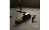 Sustain Pedal Polarity Switch Electronic Piano Foot Pedal Construction Synthesizer Footswitch for Pianists, Stage Performance