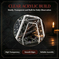 Acrylic Reptile Habitat Transparent Small Pet Breeding Box