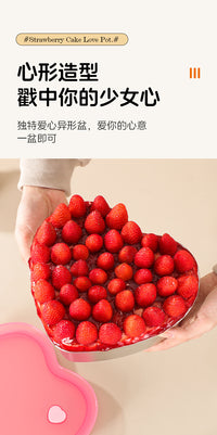 小红书爆款草莓蛋糕盆网红草莓碗不锈钢密封保鲜盒带盖爱心蛋糕盆
