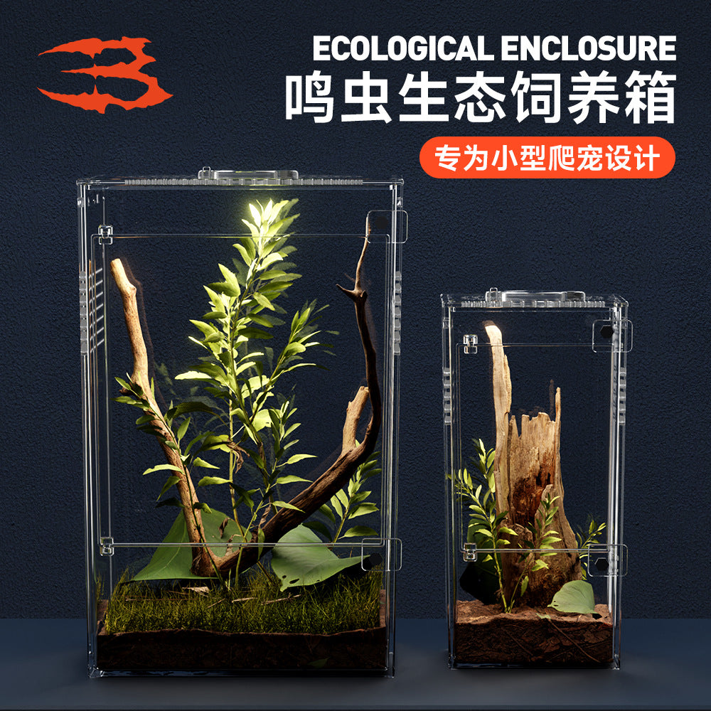 Acrylic Reptile Breeding Box for Spiders, Transparent Viewing Enclosure
