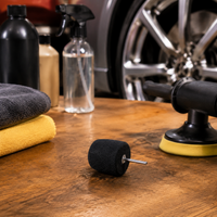 polishing sponge