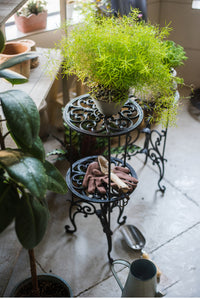 Cast Iron Plant Stand with Classical Pattern
