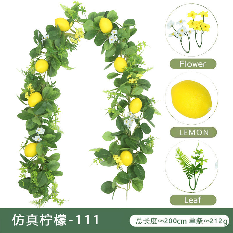 Lemon Vine 111