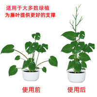 植物支架攀爬架阳台家庭园艺花支撑杆插花棒支撑树爬藤杆绿植花卉