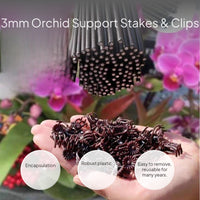 Orchid Plant Support Stakes and Flower Clips Set
