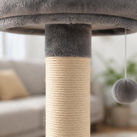 Cat Activity Center Scratching Post Cozy Caves Feline Retreat Tree Hammock Animal Furniture for Home