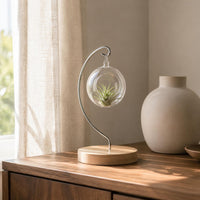 Iron Hanging Rack Metal Frame Tabletop Plant Hanger Elegant Curved Design