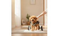 Front Leg Dog Wheelchair Four-Wheel Pet Front Leg Wheelchair Stable