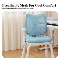 Adjustable Student Seat Stable and Anti-Slip Split-Back Child Chair for Students