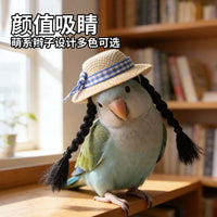 宠物装饰仓鼠帽子金丝熊装饰假发帽 鹦鹉小帽子虎皮玄凤小宠用品
