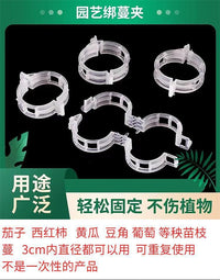 绿植果树植物固定夹卡扣藤蔓固定器秧苗爬藤支撑杆果蔬秧苗吊夹