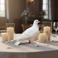 2 Pieces Statue Cute Pigeon Figurine Miniature for Wedding