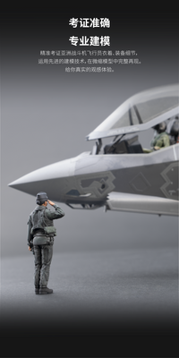 Xinghe Moban Asian Fighter Pilot 1/48 3D Printed Model