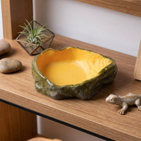 Impact Resistant Bowl Tortoise Water Bowl, Reptile Water Dish Food Bowl, Snake Accessories for Vivarium, Shallow XS DOUBLE-DUTY Dish 2.3cm