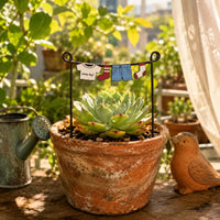 Clothesline Garden Sign Easy to Insert Decorative Iron Plant Sign Lightweight