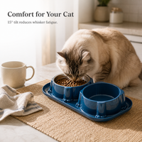 Double Stainless Steel Pet Bowl for Cats and Dogs, Non-Slip Tilted Food and Water Feeder