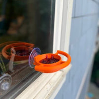 Window Bird Feeder Compact Suction Cup Bird Feeder Easy Install