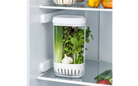 Hydroponic Greens Keeper Fresh Greens Storage Container with Ventilated Base