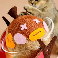 fishing Themed Cat Scratcher with Sisal Ball Indoor for Cats