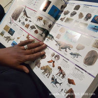 Picturepedia Illustrated Encyclopedia Notebook for Students