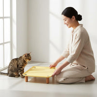 Raised Cat Bowl Stand Spill Proof Non-Slip Pet Food Placemat for Indoor, Cats