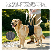 狗狗辅助带老龄犬上楼腿部背带走路狗腿护残疾疾复带跨境代发XJ