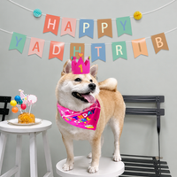 party banner set