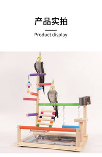 Parrot Frosted Perch with Ladder, Swing, and Chew Toy for Climbing