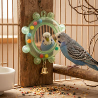 2 Pieces Bird Mirror Toy Enrichment Enclosure Mirror Safe Chewing