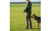 Dog Bite Sleeve With Handle Dog Attack Training Sleeve Internal and External Handles Canine Training Arm Guard for Outdoor
