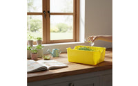 Bean Sprout Grower Box PP Material Soilless Sprout Grower Easy to Observe Feline Greens Planter for Indoor, Kitchen