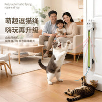 Automatic Cat Teaser Wand with Door Mount