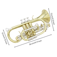Cornet Kit Compact Cornet with Carrying Case Beginner-Friendly Brass Instrument for Students, Practice
