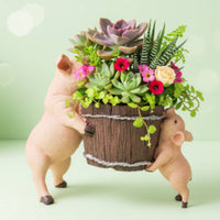 Cute Pig Resin Planter Small Plant Holder Home Decor for Garden