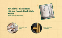 Brass pull-down faucet with sprayer
