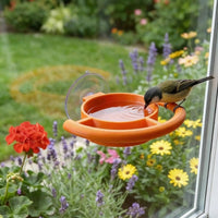 Window Suction Cup Bird Feeder Easy Observation Suction Cup Hummingbird Feeder