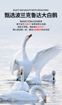鹅绒工装羽绒裤男款外穿冬季2025新款可拆卸三防冲锋裤哈尔滨防寒