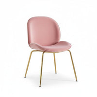 Beetledesign Chair Nordic Design Home Seating Shell-Shaped Seat for Hotel, Women