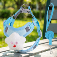 Cat Harness and Dog Harness Set with Small Dog Leash and Cat Leash, Reflective Polyester Flat Rope Outdoor Pet Gear for Small to Medium Dogs