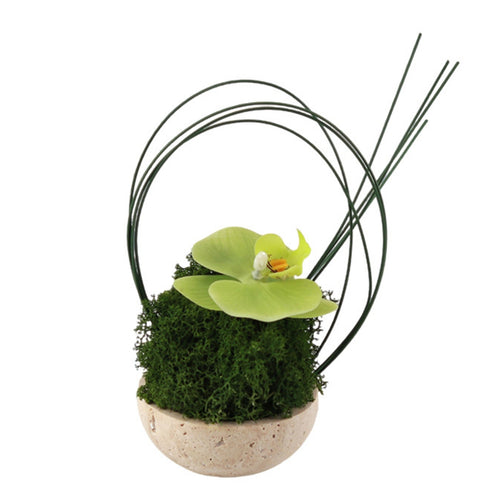 Artificial Orchid in Planter Sculptural Faux Plant with Stone Look Pot Compact