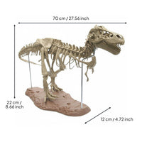 Dinosaur Skeleton Model Large Size Tyrannosaurus Skeleton Model Kit Educational Gift Dinosaur Assembly Toy for Kids, Desk Decoration, Room Decor