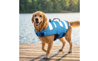 Adjustable Dog Life Jacket with Rescue Handle Secure Dog Life Jacket with D-Attachment High-Buoyancy Lightweight for Young Dogs
