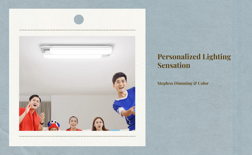 Dimmable LED ceiling light