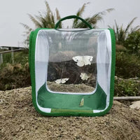 360-Degree Transparent Insect Observation Cage, Foldable and Portable