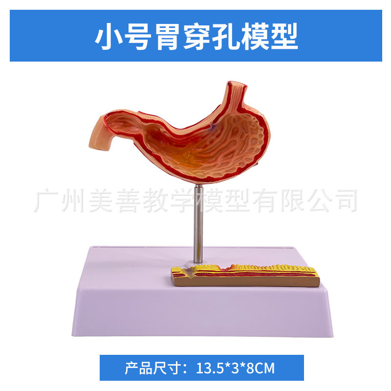 Small Pathology