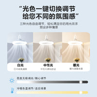跨境led风扇灯节能E27螺口家用卧室客厅三色吊扇灯静音遥控香薰