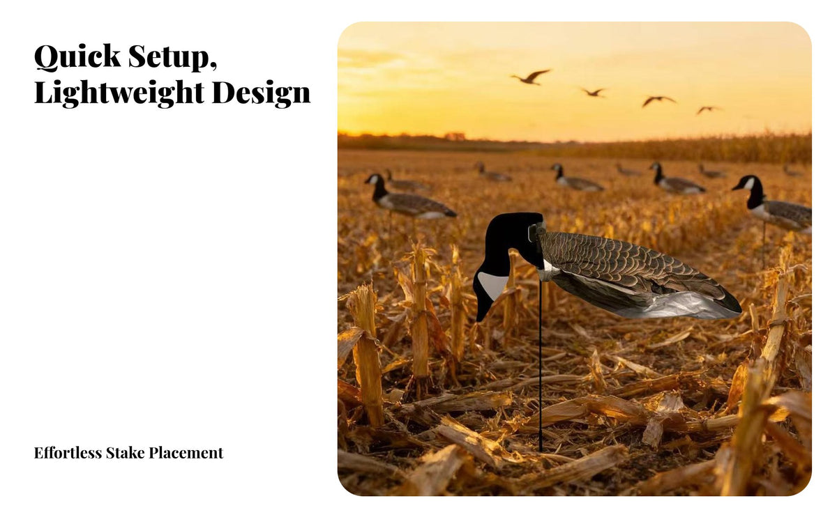 6 Pieces 2D Silhouette Goose Decoy Foldable Canadian Goose Decoy Lightweight