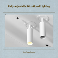 Adjustable narrow-beam LED spotlight